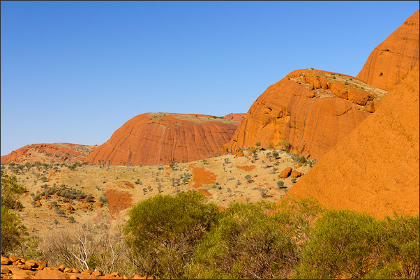 In den Kata Tjutas (Olgas). Dome aus eisenhaltigem Konglomerat (Red Centre, Australien)<br />Nikon D200 mit AF-S DX NIKKOR 17-55 mm 1:2,8G