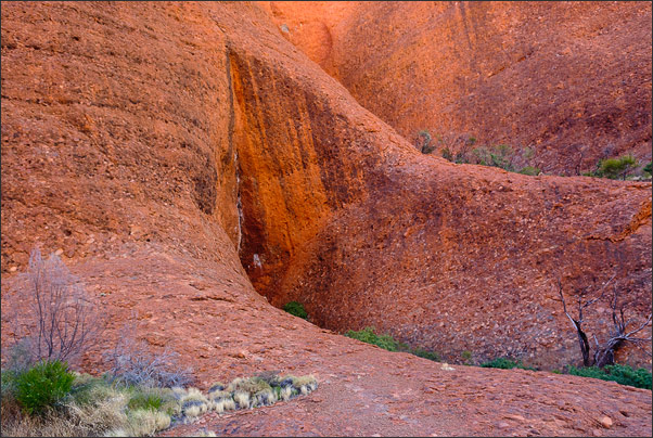 Detail am Fu�e eines Doms in den Kata Tjutas (Olgas) im Red Centre (Northern Territory, Australien)<br />Nikon D200 mit AF-S DX NIKKOR 17-55 mm 1:2,8G