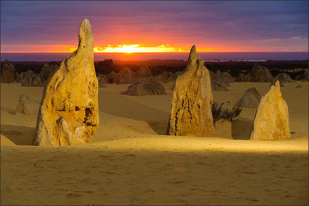 Pinnacles (versteinerte Wurzeln eines Waldes) im Nambung NP (Westaustralien) im Licht des Sonenuntergangs<br />Nikon D200 mit AF-S DX NIKKOR 17-55 mm 1:2,8G