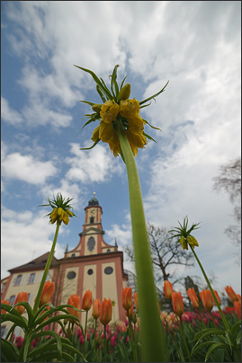 Kaiserkrone - oder doch eher eine Palme? Ein Frage der Perspektive.<br />Nikon D3 mit AF-S NIKKOR 14-24 mm 1:2,8G ED