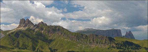 Ro�z�hne mit Schlern im Schattenspiel (Seiser Alm, S�dtirol)<br />Nikon D800E mit AF-S NIKKOR 24-70 mm 1:2,8G ED