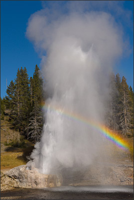 Riverside Geyser mit abendlichem Regenbogen im Yellowstone Nationalpark (USA).<br />Nikon D3x mit AF-S NIKKOR 24?70 mm 1:2,8G ED
