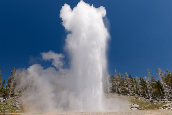 Grand Geysir im Yellowstone Nationalpark (USA).<br />Nikon D3x mit AF-S NIKKOR 24?70 mm 1:2,8G ED