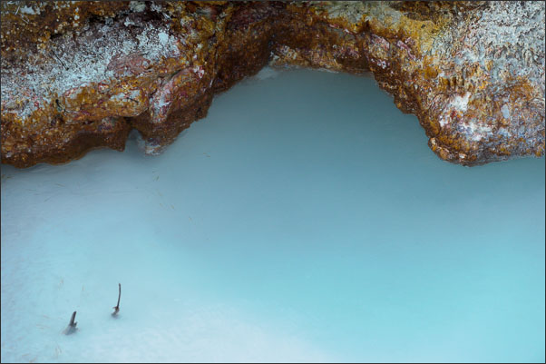 Detail an einer hei�en Quelle bei den Artists Paint Pots im Yellowstone Nationalpark (USA).<br />Nikon D3s mit AF-S NIKKOR 70?200 mm 1:2,8G ED VR II