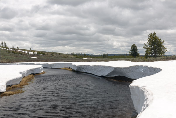 Schneefeld im Fr�hjahr des Yellowstone Nationalparks (USA).<br />Nikon D3x mit AF-S NIKKOR 24?70 mm 1:2,8G ED